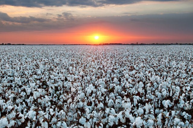 35 Fair Trade & Ethical Clothing Brands Betting Against Fast Fashion - Utopiat
