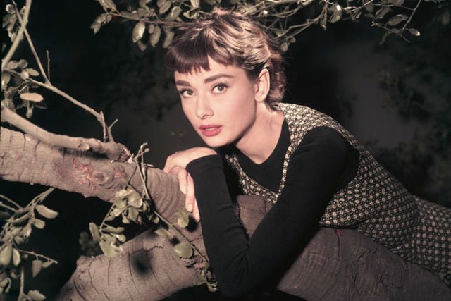 6 Lesser-Known Facts About Audrey Hepburn - Utopiat