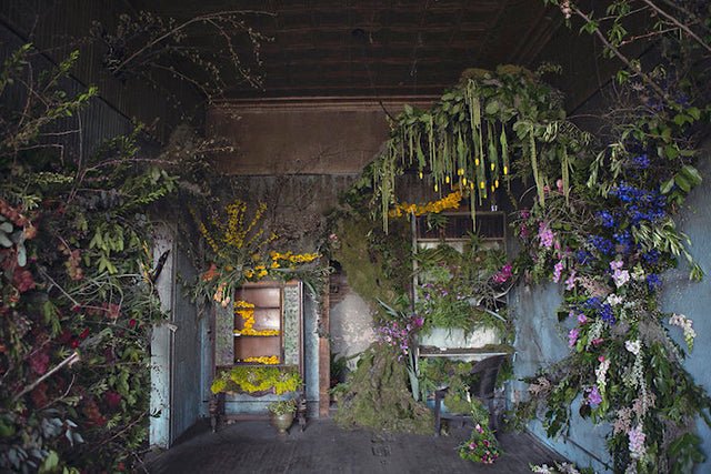 Abandoned Detroit House Gets Adorned with 4000 Flowers - Utopiat