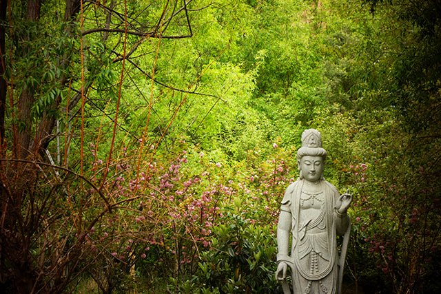 Kuan Yin, The Teacher - Utopiat